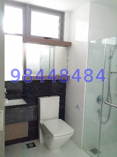 Starlight Suites (D9), Apartment #45791302